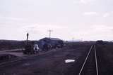 117703: Langi Logan Looking towards Ararat