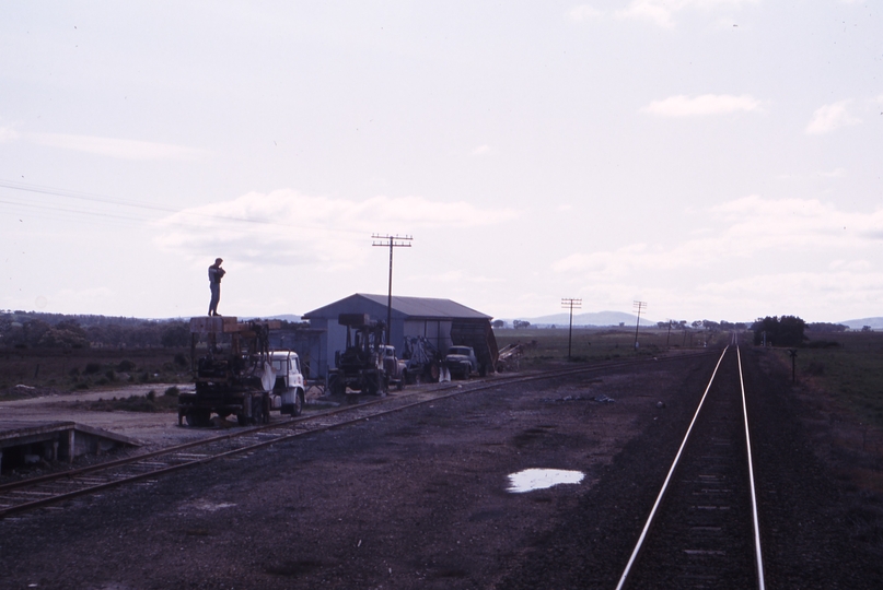 117703: Langi Logan Looking towards Ararat