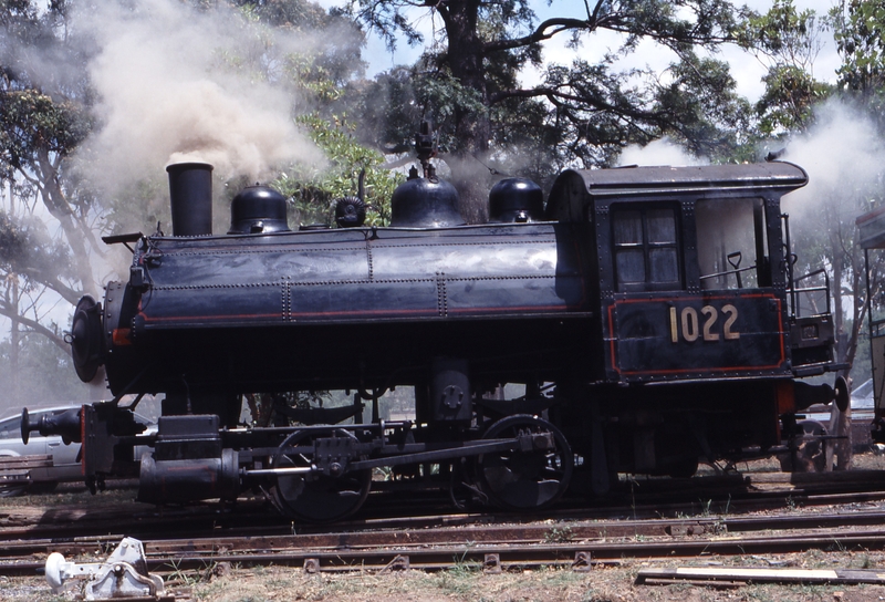 117845: Parramatta Park Depot 1022 VIW 2505-1916