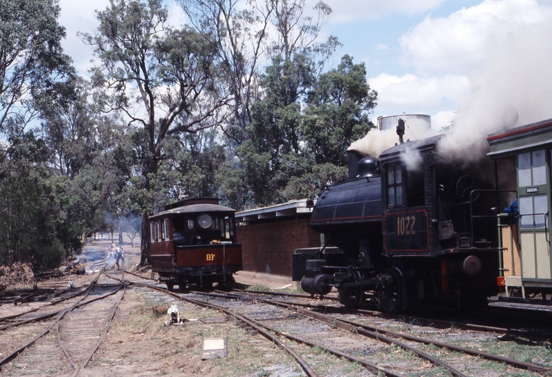 117848: Parramatta Park Depot 1022 VIW 2505-1916 133A Purcell 936-1921