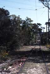 117912: South Pacific Electric Railway Sutherland Looking towards Loftus