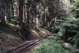 118070: Menzies Creek Forest Landslip Site Looking East