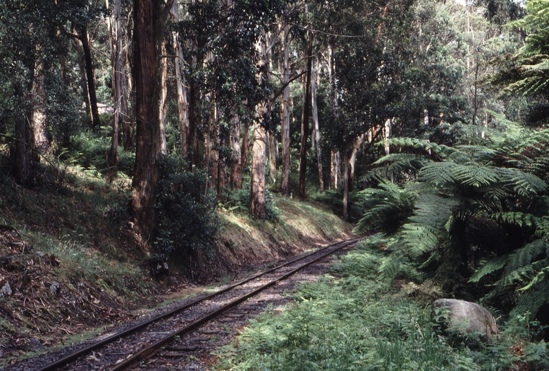 118070: Menzies Creek Forest Landslip Site Looking East