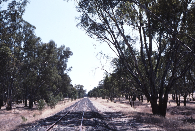 118112: km 246 Boomagong Looking towards Tocumwal