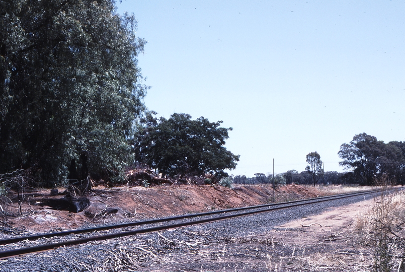 118133: Yarroweyah Looking towards Strathmerton