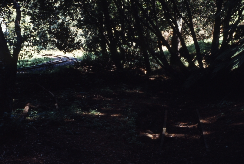 118184: Landslide Looking towards Belgrave