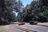 118197: Gembrook Looking East