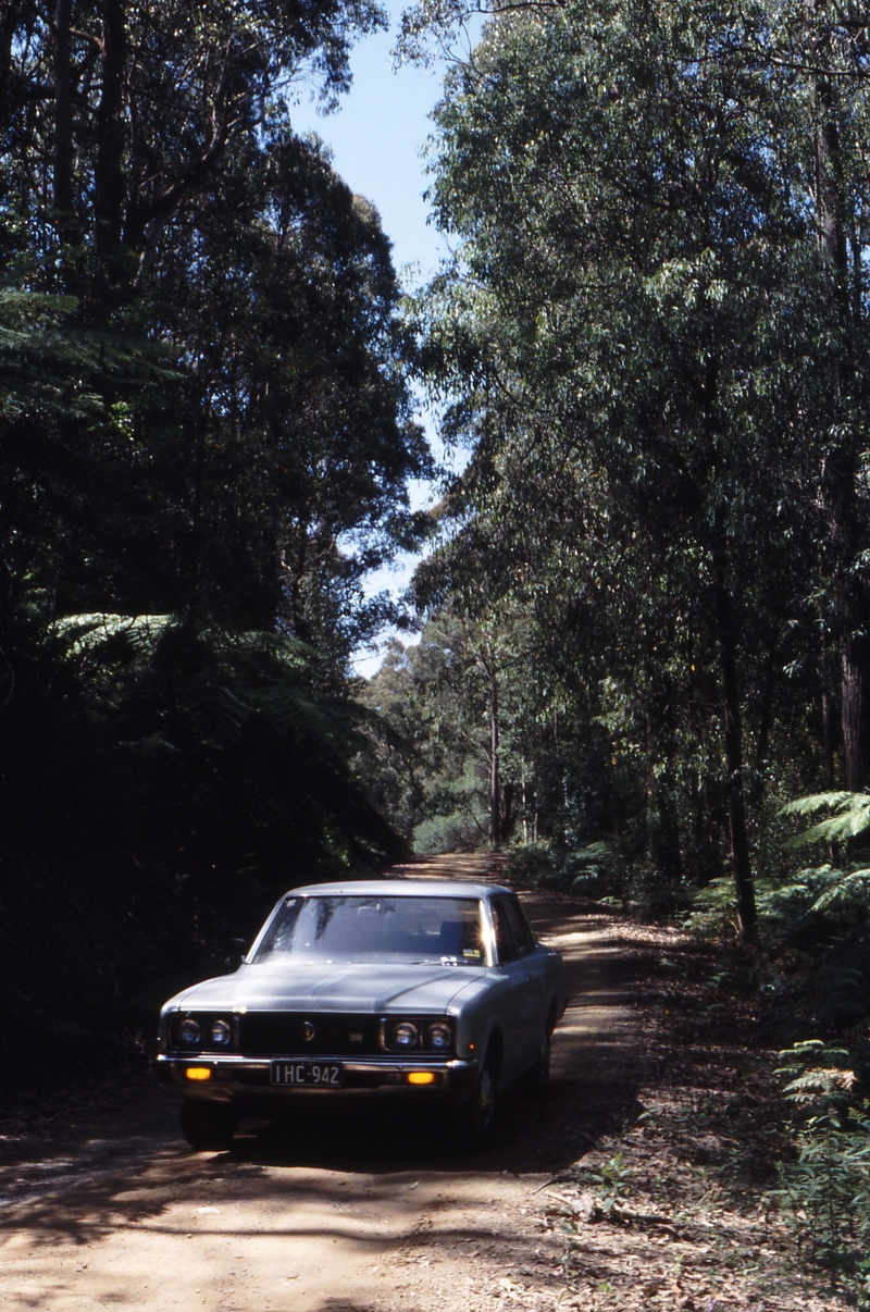 118204: North Beenak Road 14.2 km from Gembrook Looking North