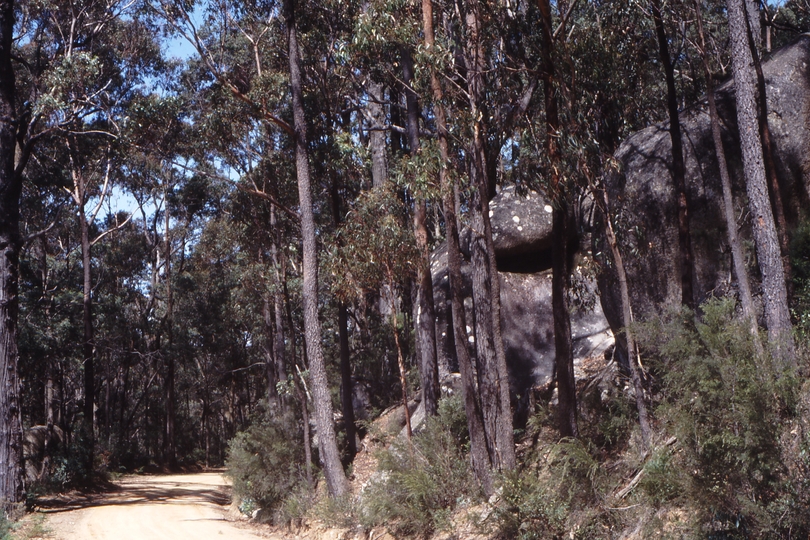 118205: North Beenak Road 10.4 km from Gembrook Looking North