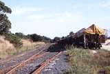 118321: Buffalo Looking towards Yarram VOCX Superphosphate Wagons