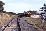 118322: Buffalo Looking towards Yarram VOCX Superphosphate Wagons Chris Banger