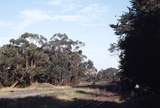 118331: Koonwarra Looking towards Yarram