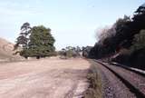 118333: Ruby Looking towards Yarram