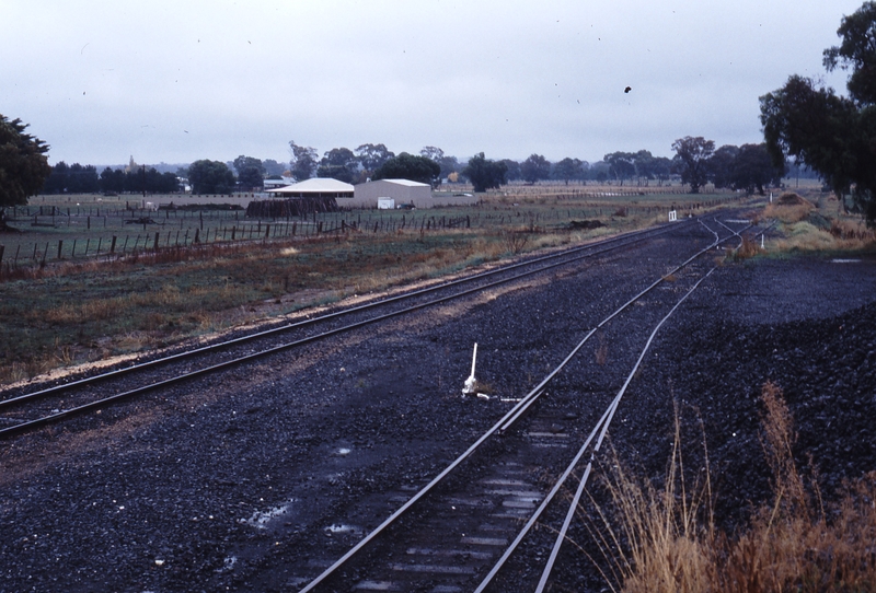 118403: Carisbrook Looking West