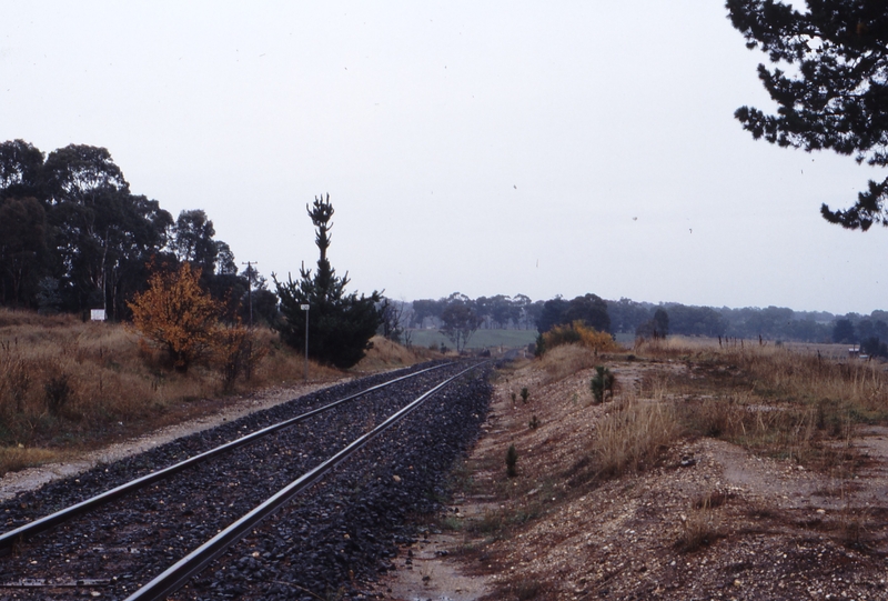 118418: Campbell Looking West