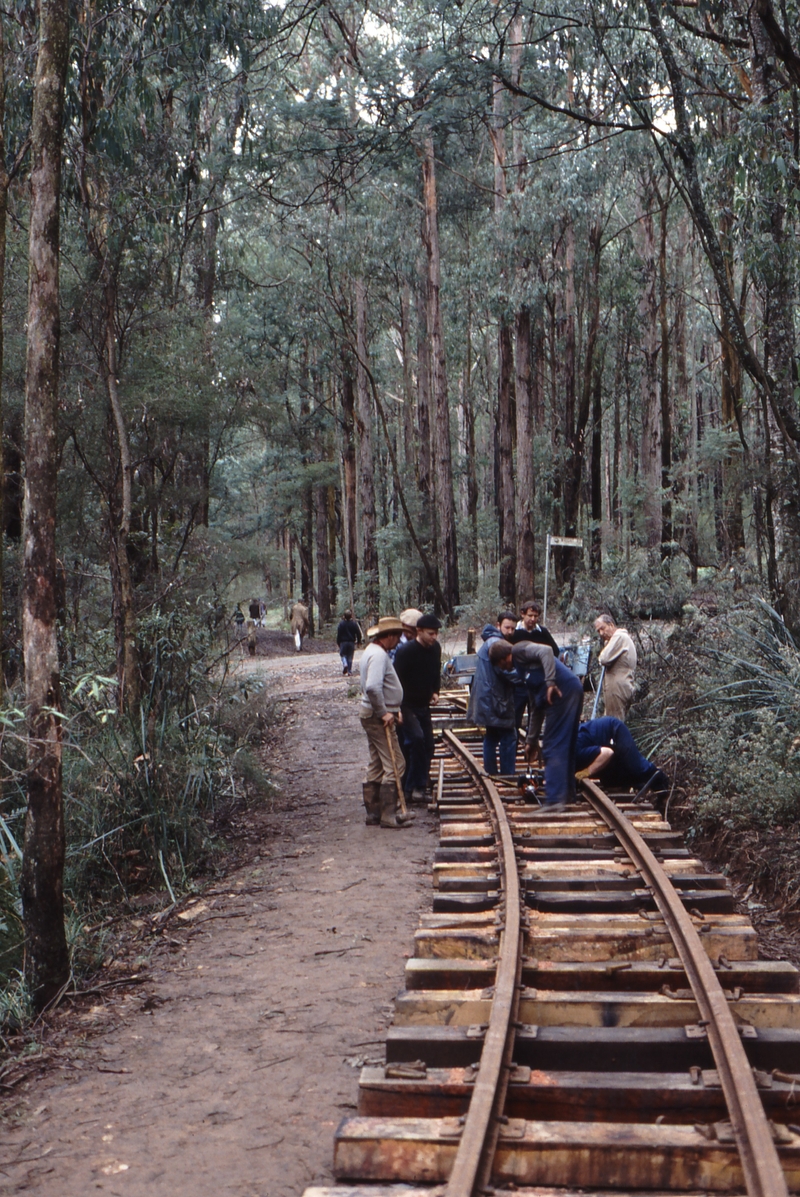 118454: Wright Road Curve 74T Looking towards Gembrook Joe Curran and Spiking Gang