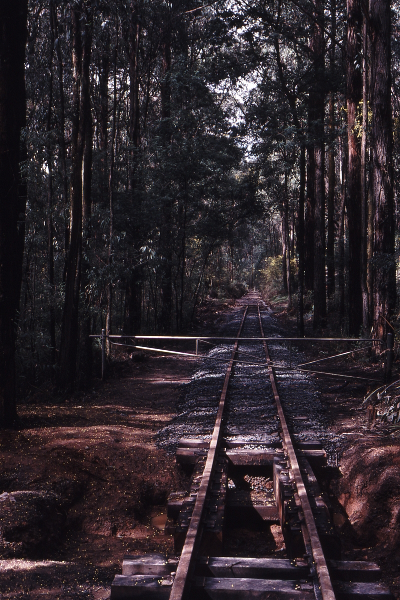 118583: Wright Road Looking towards Gembrook