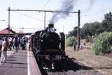 118831: Williamstown 7084 Up Steamrail Special K 183 leading Y 164 trailing