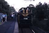 118851: Alamein 7342 Up Steamrail Special Y 164 leading K 183 trailing