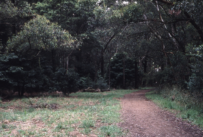119107: Red Hill Looking East from East End Turntable Pit Behind Trees left foreground