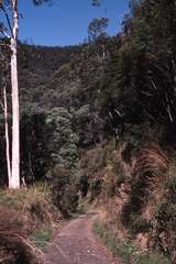 119135: Thomson River Bridge down side Curves 1R and 2L Looking North