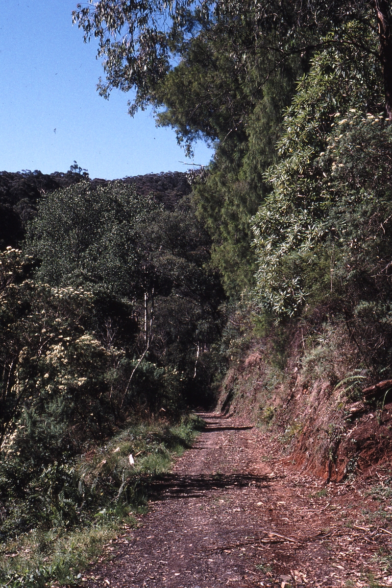 119136: Thomson River Bridge down side Curve 3L Looking North