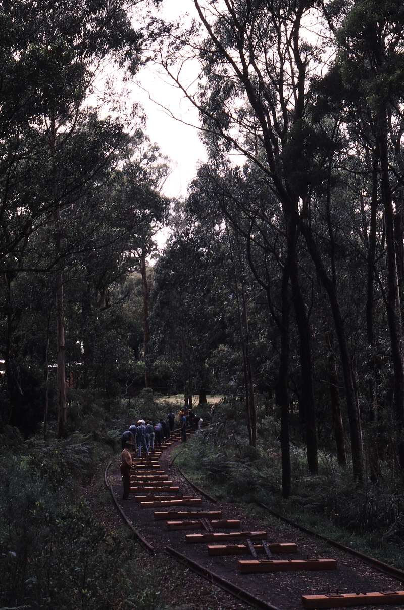 119141: Mid point Curve 101R Looking towards Gembrook