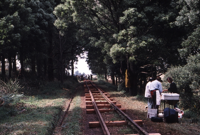 119144: Tangent between Curves 101R and 102L Looking towards Gembrook