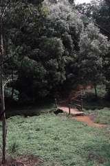 119148: Cockatoo Creek Bridge Site Looking West from East Abutment