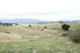 119162: Tarrawarra Looking towards Healesville