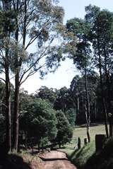 119192: Fielder Looking towards Belgrave from Doonaha Road