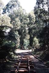 119194: Fielder End of Track at Doonaha Road Looking towards Belgrave