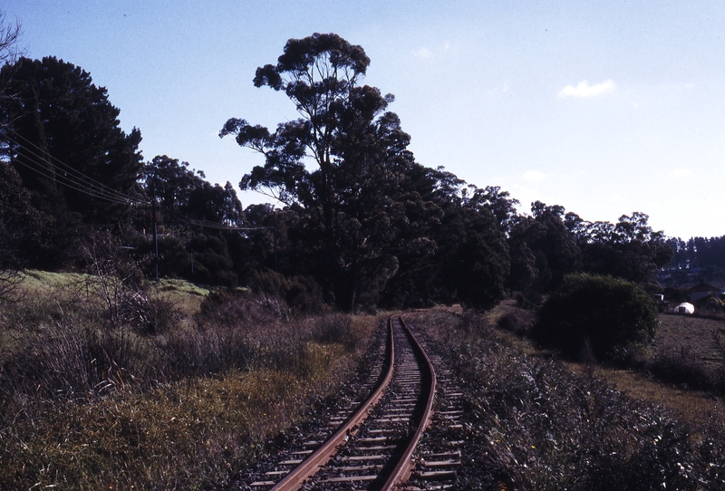 119259: Gembrook up side Looking from Curve 111R towards Curve 110L