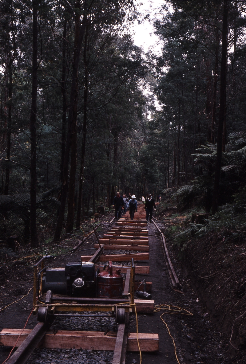 119437: Cockatoo - Fielder End of Steel at East End of Curve 97 Looking towards Belgrave