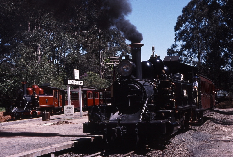 119462: Menzies Creek 10:30am Down Passenger 12A and 14A on cars in back platform