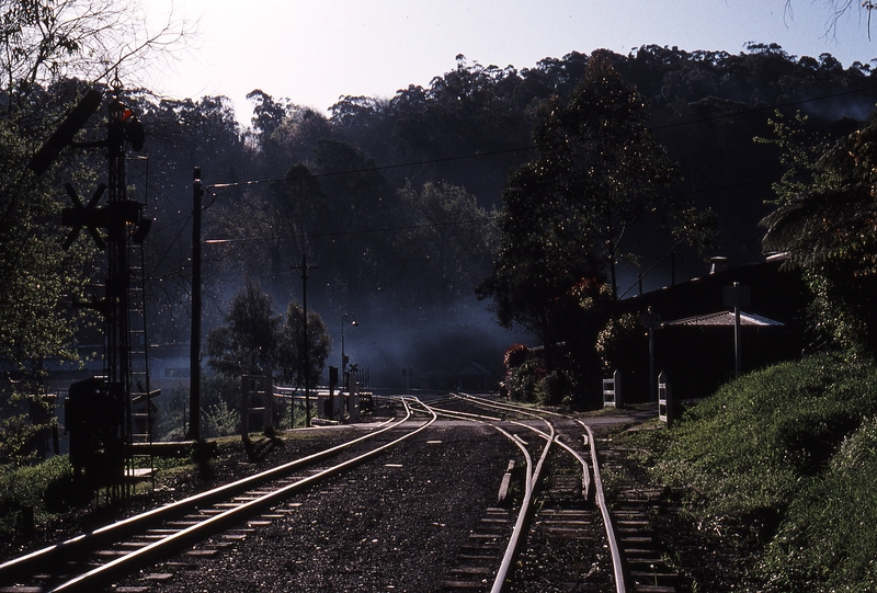 119477: Belgrave Looking West from Belgrave East