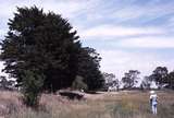 119530: South Morang Looking towards Melbourne from Whittlesea end of Platform