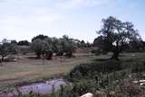 119533: Mernda Looking North from East Side South End