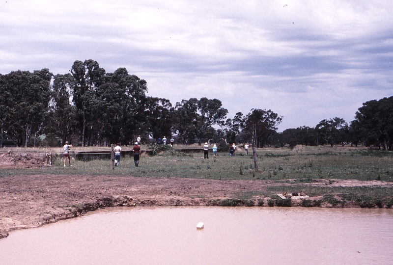 119535: Yan Yean Looking South from North End of Yard