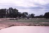 119535: Yan Yean Looking South from North End of Yard