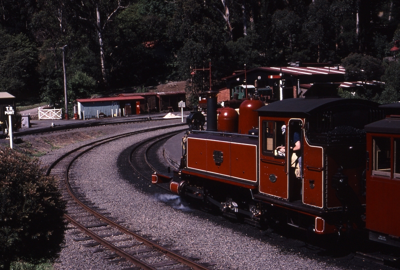 119548: Belgrave Down Young Sun Special 14A