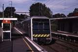 119585: Laburnum Down Suburban 4D Double Deck Train