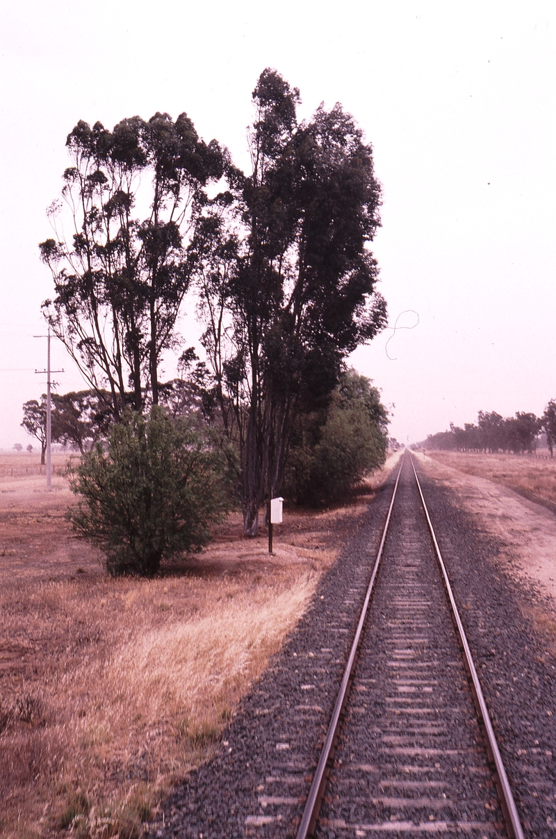 119603: Gulpa Looking North