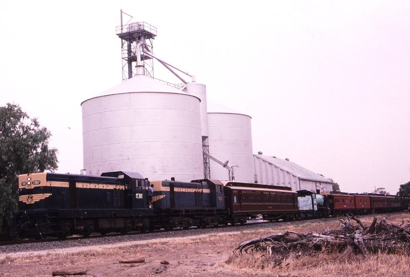 119605: Mathoura 9070 Up Special Goods T 357 Y 133 K 176 in consist