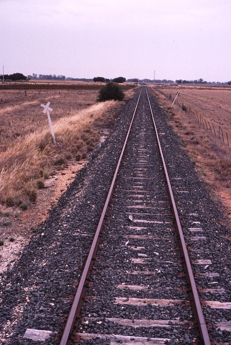 119618: Kanyapella Looking towards Echuca