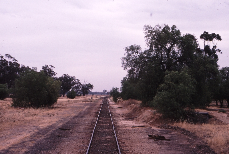 119631: Merrigum Looking towards Echuca