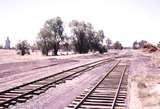 119664: Tocumwal Looking North along Broad Gauge