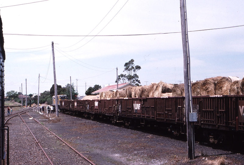 119715: Korumburra Hay for Drought Relief in VOCX Wagons T 342 in distance