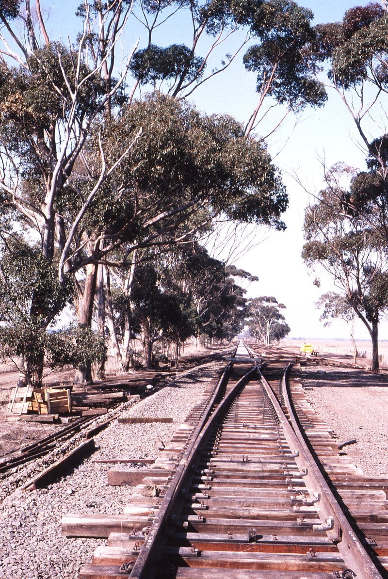 119847: Wingeel West Switch Looking East