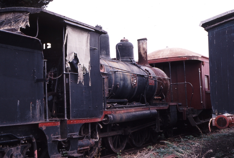 119851: Queenscliff Pb15 454